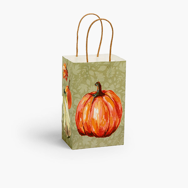 Painted Pumpkins Paper Gift Bags, Rose 5.25x3.5x8.25",25 Pack