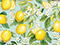 Lemon Tree