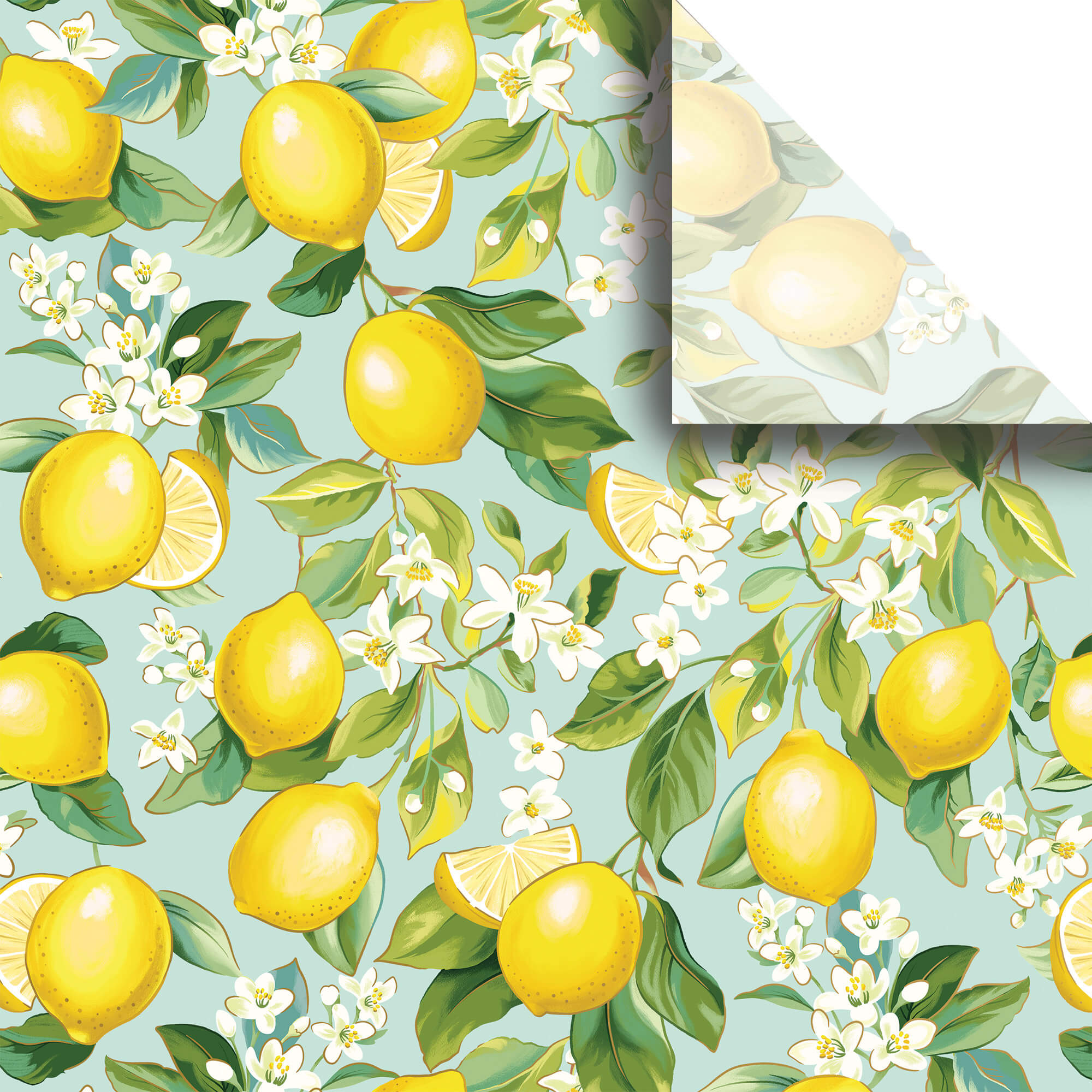 Lemon Tree Tissue Paper, 20x30", Bulk 240 Sheet Pack