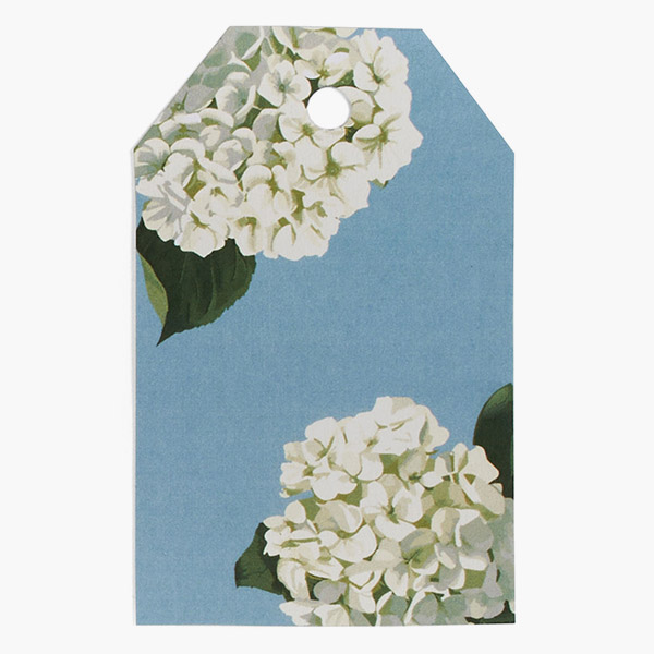 Hydrangea Blossoms Gloss Gift Tag, 2.25x3.5", 50 Pack