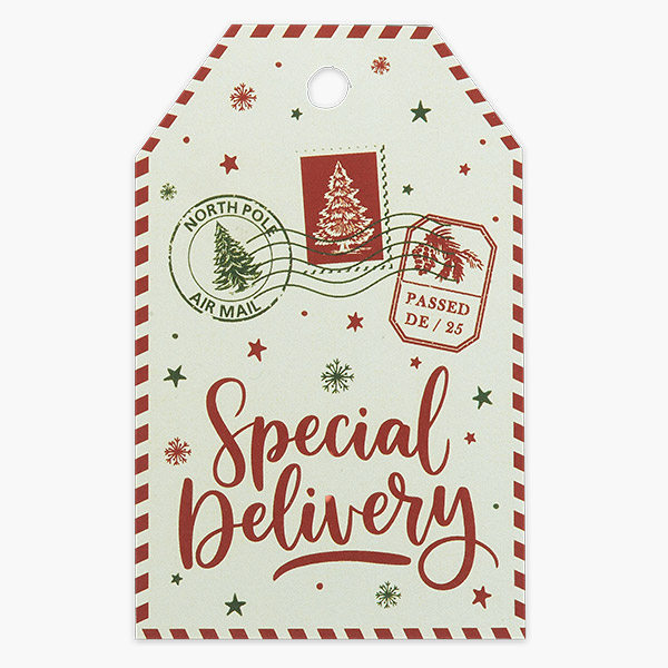 Letter to Santa Gloss Gift Tag, 2.25x3.5", 50 Pack