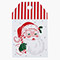 Twinkling Santa