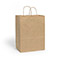 100% Recycled Kraft Paper Bags, Carrier 10x5x13", 100 Pack-thumbnail
