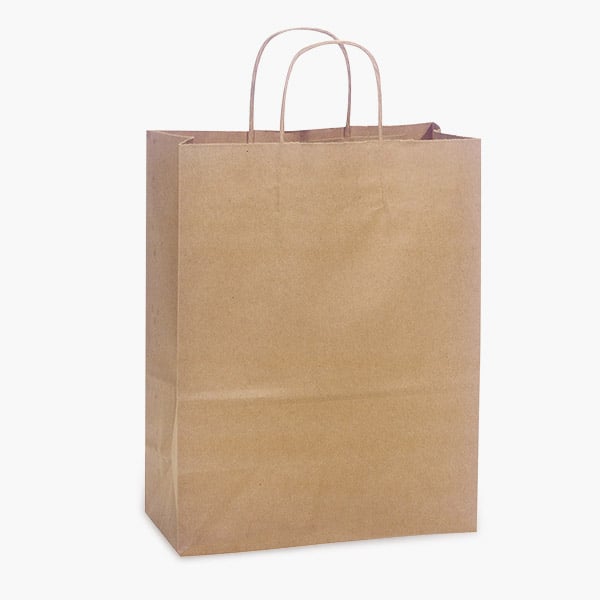 100% Recycled Kraft Paper Bags, Carrier 10x5x13", 100 Pack