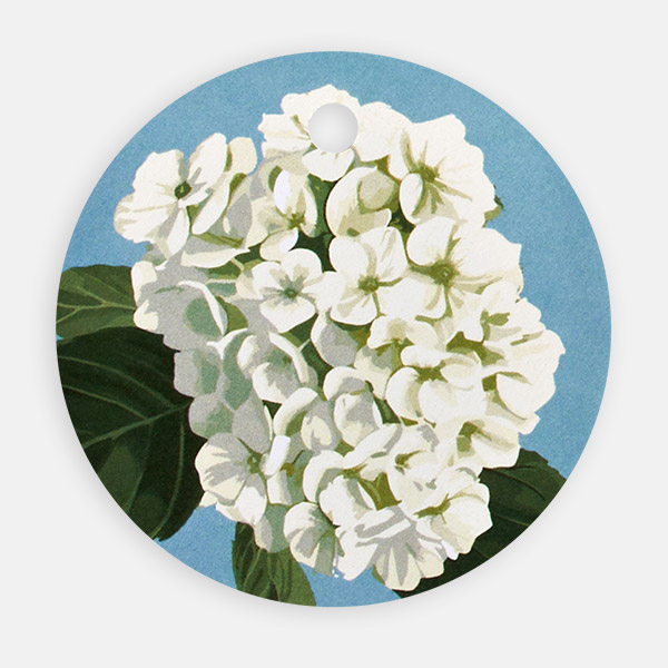 Hydrangea Blooms Round Gift Tag