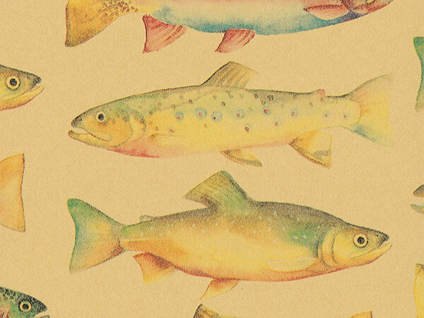 RainBow Trout Wrapping Paper 26" x 417', Half Ream Roll