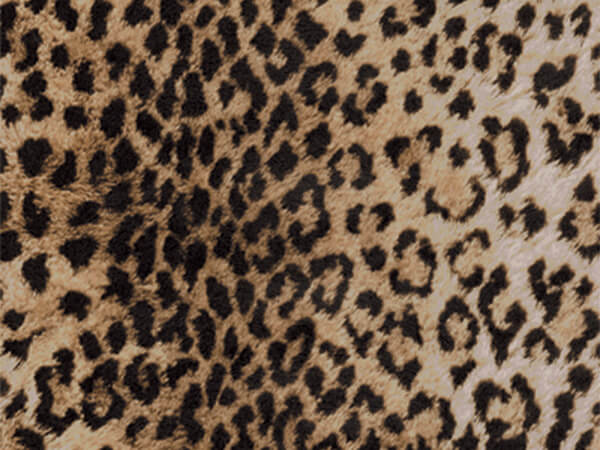 Leopard Print Wrapping Paper 24" x 833', Full Ream Roll