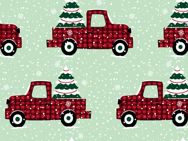 Plaid Truck Wrapping Paper 24" x 417', Half Ream Roll
