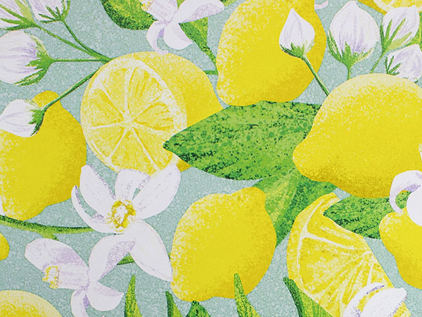 Lemon Fresh Gift Wrap 24" x 833', Full Ream Roll