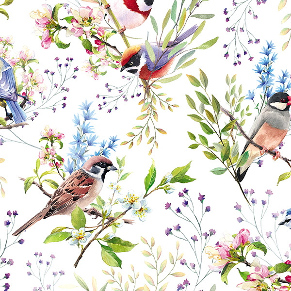 Backyard Birds Gift Wrap 30" x 417', Half Ream Roll