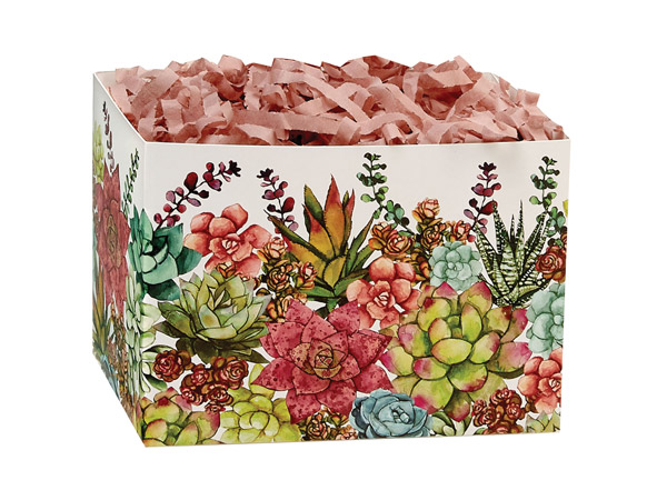 Succulent Garden Basket Boxes, Small, 6.75x4x5", 6 Pack