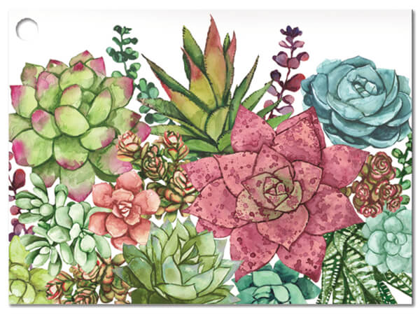 Succulent Garden Theme Gift Cards, 3.75x2.75", 6 Pack