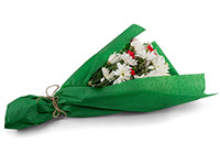 FLORAL WAXED Tissue Paper Bouquet Wrapping 24"x36" X-Large Sheets YOUR CHOICE! 