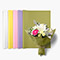 In Bloom Assortment