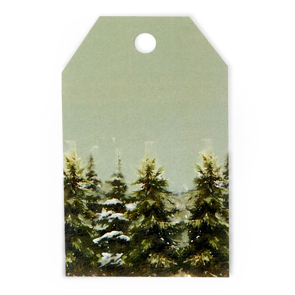 Evergreen Gloss