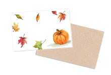 Nashville Wraps Enclosure Gift Cards and Envelopes