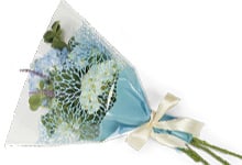 Nashville Wraps Bouquet Sleeves