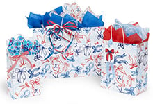 Nashville Wraps Americana Gift Bags