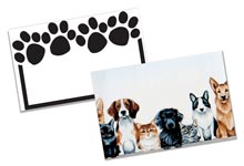 Nashville Wraps Enclosure Gift Cards and Envelopes
