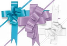 Nashville Wraps Textured Butterfly Pull Bows